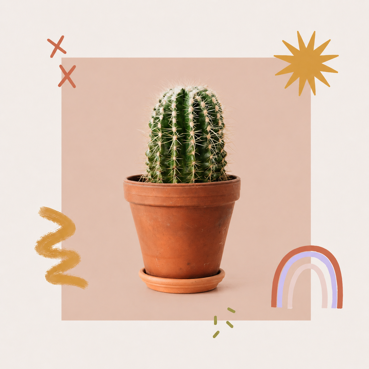Cactus